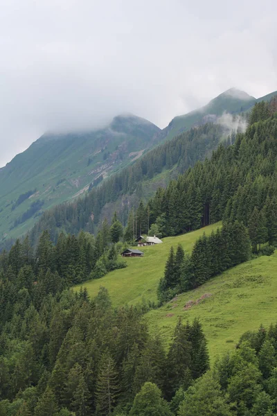 Green Landscape Swiss Alps Early Summer Day Rural Scene Brienz — Photo