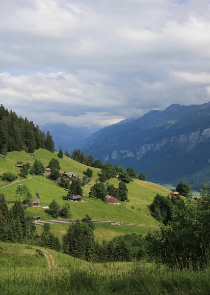 Zielone Łąki Domy Planalp Letnia Osada Nad Brienzem Szwajcaria — Zdjęcie stockowe