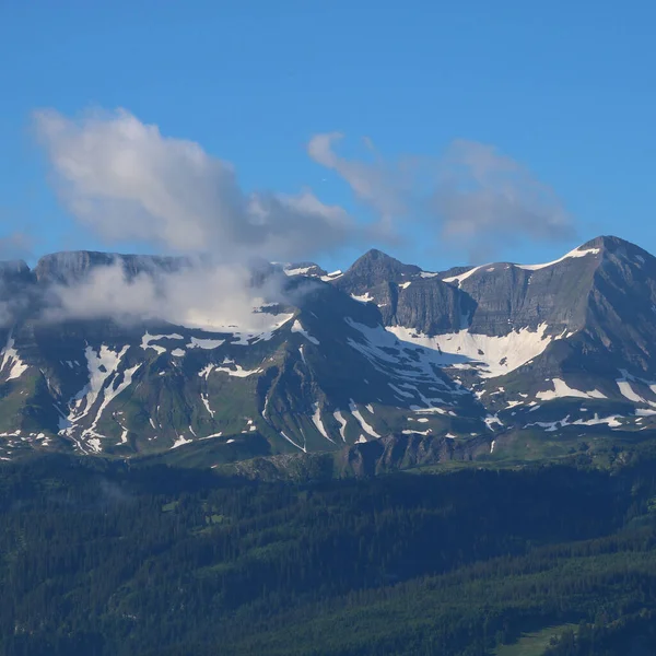 Montagnes Gassenhorn Faulhorn Partir Planalp Brienz Scène Estivale Dans Les — Photo