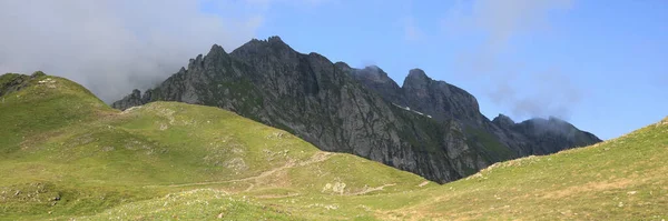 緑の牧草地とシュヴァルツェ ホーナー ピゾル地域のピーク セント ガレン — ストック写真