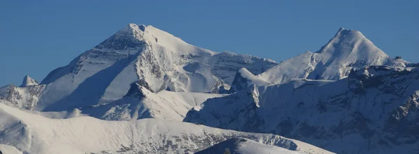 Górskie Pasma Bernese Oberland Zimą Altels Balmhorn Inne Wysokie Góry — Zdjęcie stockowe