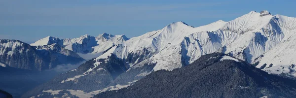 从Horneggli看到的覆盖着白雪的山脉 — 图库照片