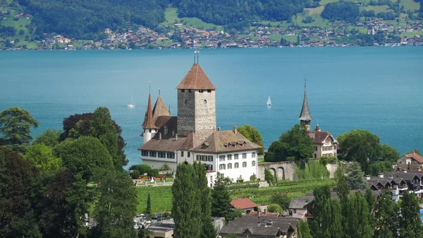 Schloss spiez, zámek — Stock fotografie