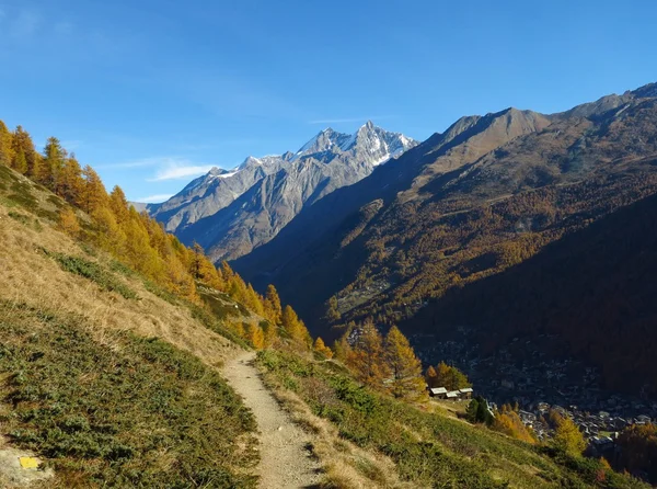 Golden forest and high mountain, Zermatt — Stock Photo, Image