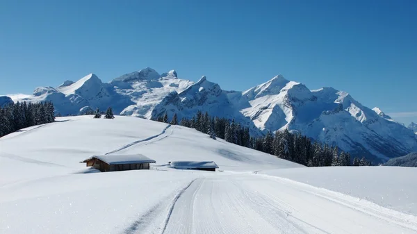 Vista dal Wispile — Foto Stock