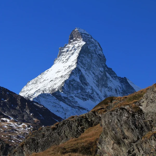 Cervin avec capuchon de neige — Photo