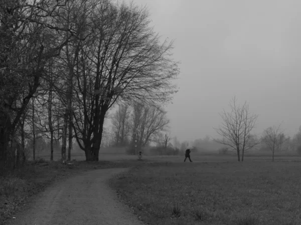 Jour d'hiver gris déprimant — Photo