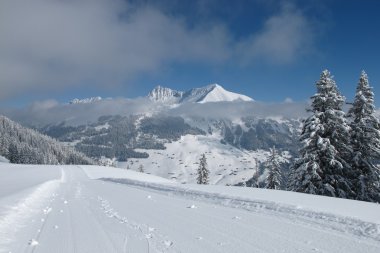 Lauenenhorn ve Gifer