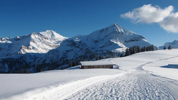 Wildhorn en Spitzhorn in de winter — Stockfoto