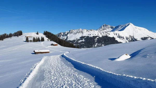 Zimní krajina u Gstaad — Stock fotografie