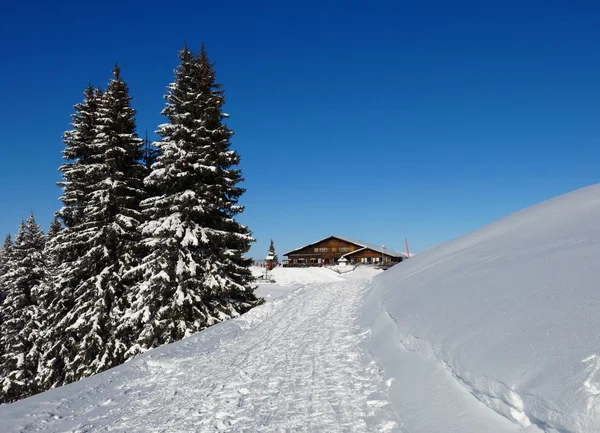 On top of the Wispile, winter scene — Stock Photo, Image