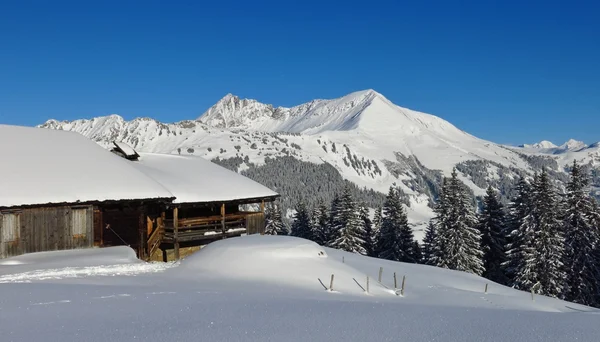 Идиллический зимний пейзаж в швейцарских Альпах — стоковое фото