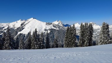 Gstaad yakınındaki kış manzarası