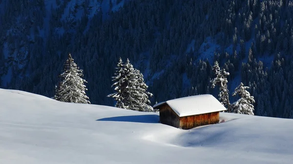 Schuppen im Schnee — Stockfoto