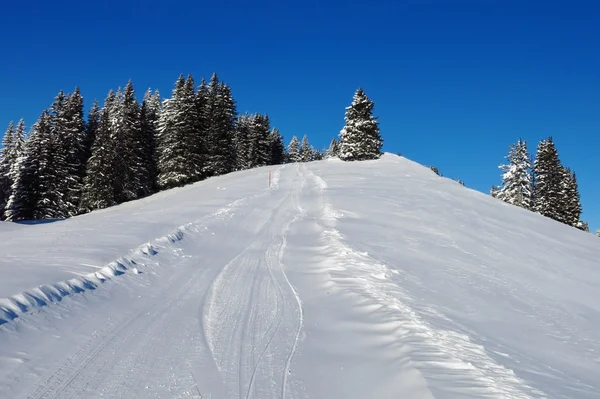 Winter background — Stock Photo, Image