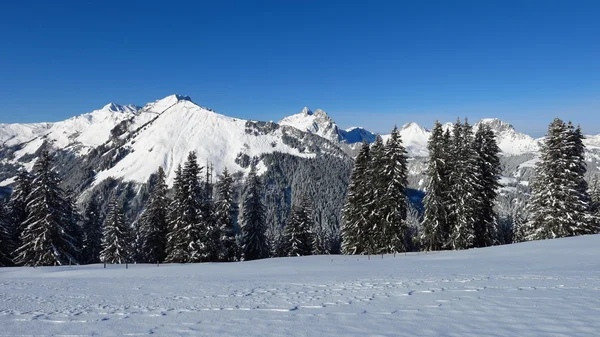 Winterlandschaft bei Gstaad — Stockfoto