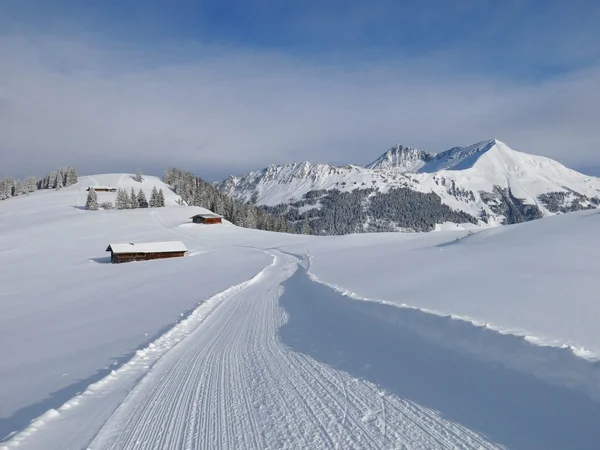 Merkezlerine yürüyerek kış