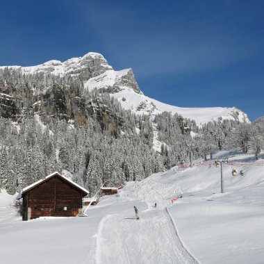 Kayak pisti ve Eggstock