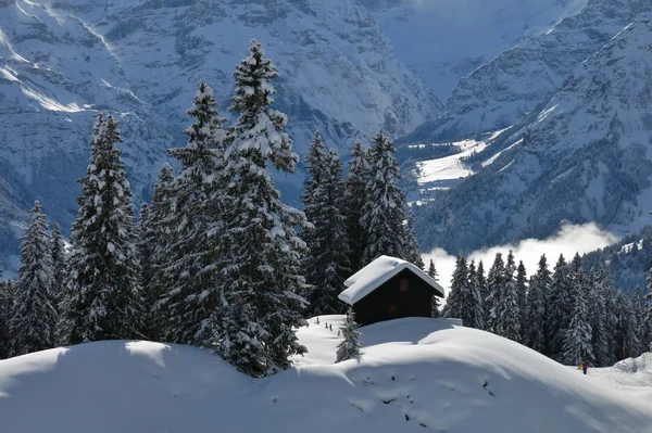 Escena de invierno en Braunwald — Foto de Stock