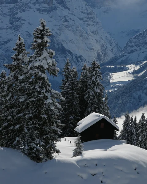 Winter Scene In Braunwald — Stock Photo, Image