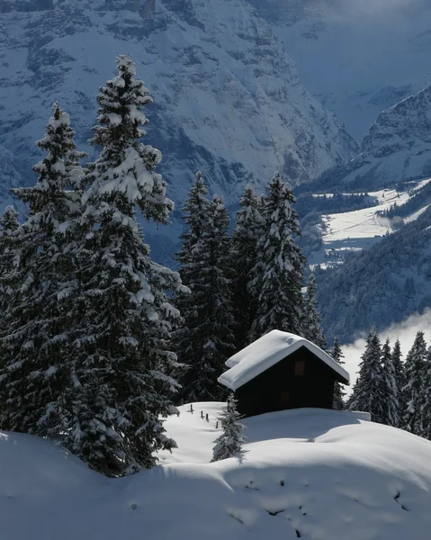 ฉากฤดูหนาวใน Braunwald — ภาพถ่ายสต็อก