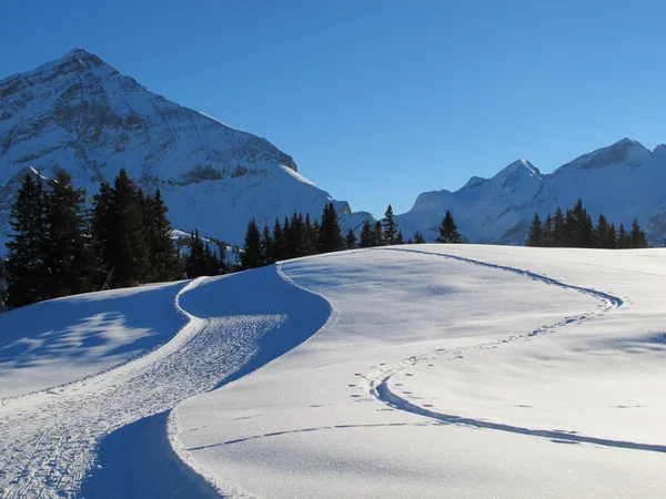 Tracks in the snow — Stock Photo, Image