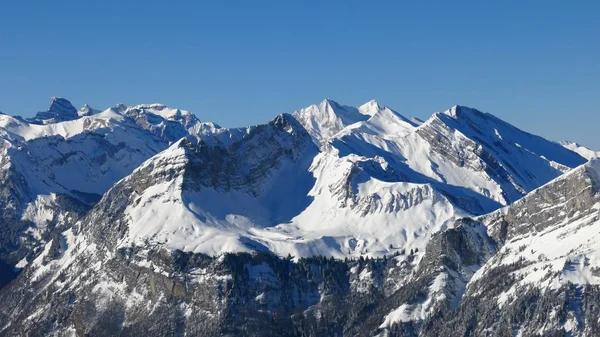 Вид с фронта, зимний пейзаж — стоковое фото