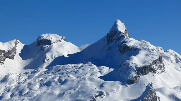 Chronenstock im Winter — Stockfoto