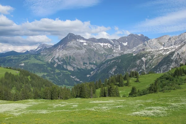 Cena de verão na Bernese Oberland — Fotografia de Stock