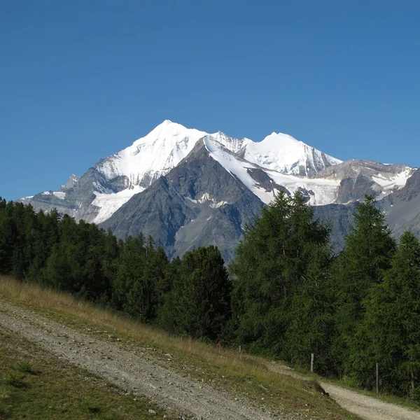 Weisshorn in summer — Stock Photo, Image