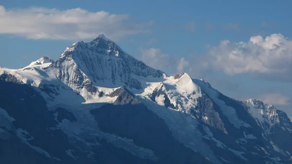 Slavnou horu Jungfrau — Stock fotografie