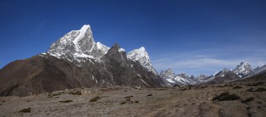 View of Cholatse, Lobuche East and other high mountains clipart