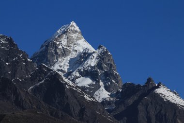 phuletate, phortse görünümünden