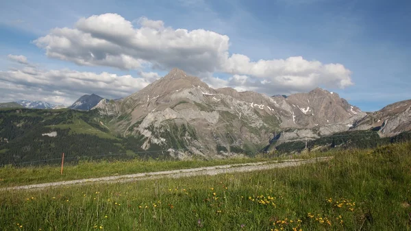 Letní den ve švýcarských Alpách — Stock fotografie