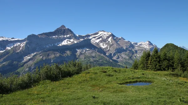 Montagnes enneigées et étang près de Gstaad — Photo