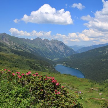 Alpenrosen, göl Arnensee ve dağlar