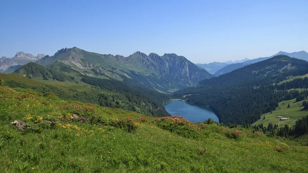 Blue lake Arnensee en groene weiden — Stockfoto