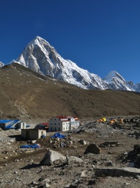 Öldüremediğimiz Shep ve Pumo RI