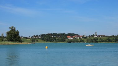 Zürih Kanton manzarada pastoral yaz