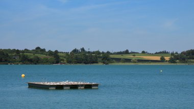 Göl Pfaffikon Yüzme platformu