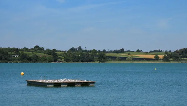 Πλατφόρμα κολύμβησης στη λίμνη Pfaffikon — Φωτογραφία Αρχείου