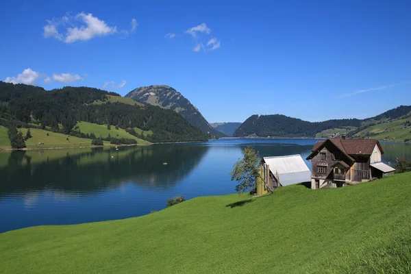 Rural summer landscape at lake Waegital — Stock Photo, Image