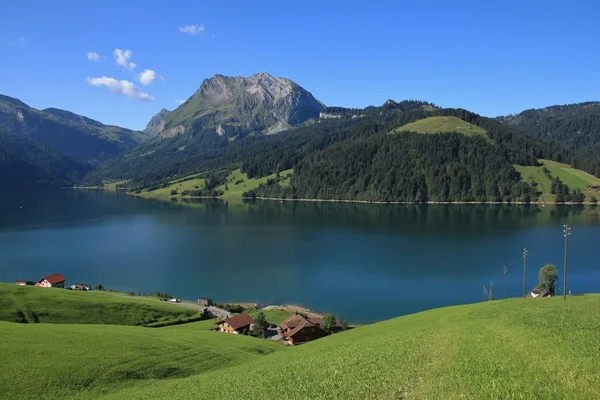 Зеленый летний пейзаж на озере Waegitalersee — стоковое фото