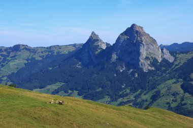 Yeşil çayır ve Mt Mythen