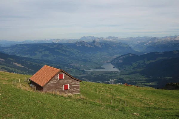 Abendliche Szene auf der Rigi — Stockfoto