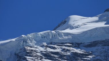 jungfraufirn,