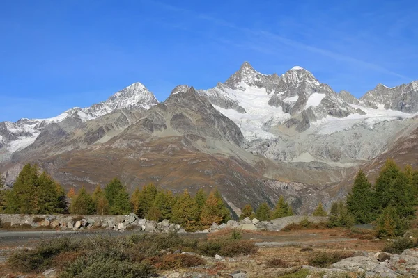 Monte Weisshorn e larici gialli — Foto Stock