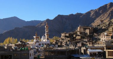 Altın ağaç tepeleri ve Jama Mescid Camii, Ladakh Leh, Hindistan.