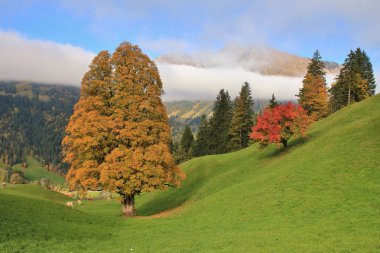 Gstaad yakınındaki sonbahar sahne