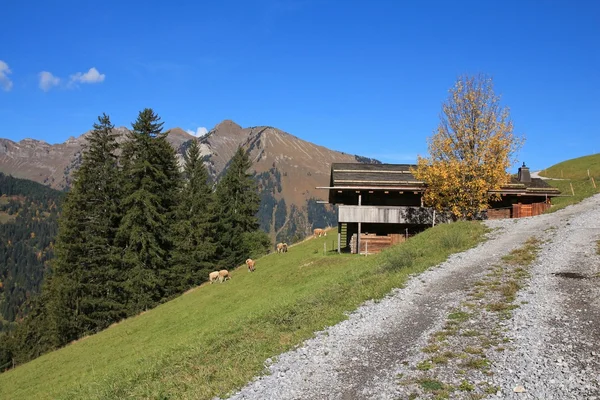 Rural autumn scene near Gstaad — Stock Photo, Image